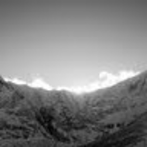 Meet your Posher, Greg - Picture 1 of 1